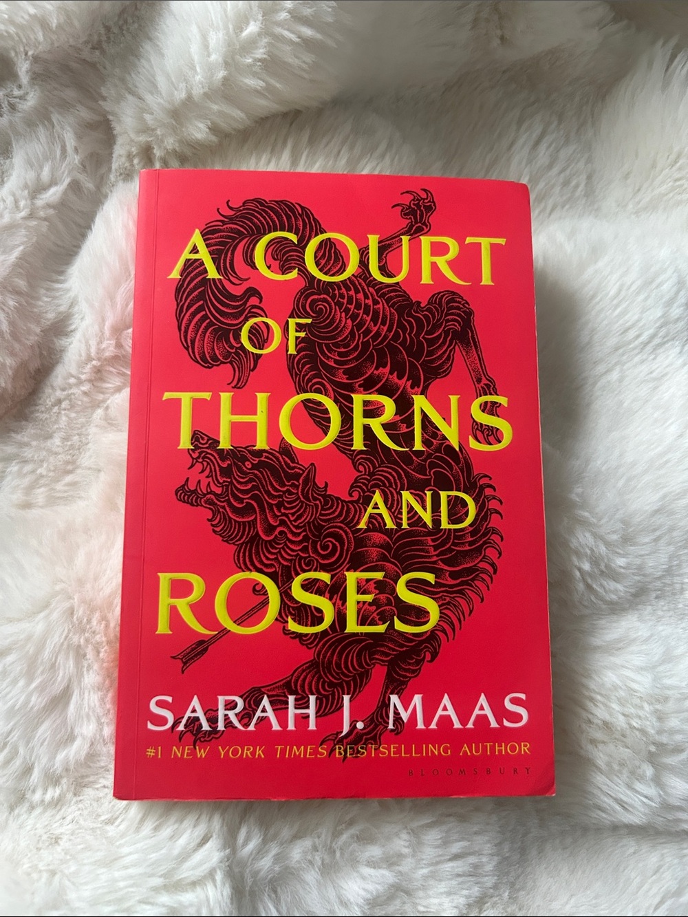 ACOTAR A Court of Thorns and Roses Paperback Book 1— by Sarah J. Maas